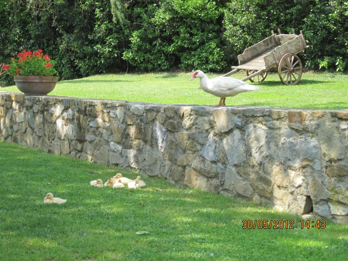Agriturismo Conca Verde Scandicci Exterior photo
